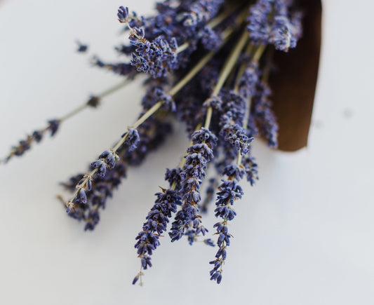 Lavender Essential Oil: Benefits, Uses and Side Effects