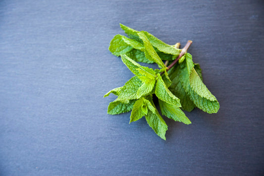 Fresh green peppermint leaves