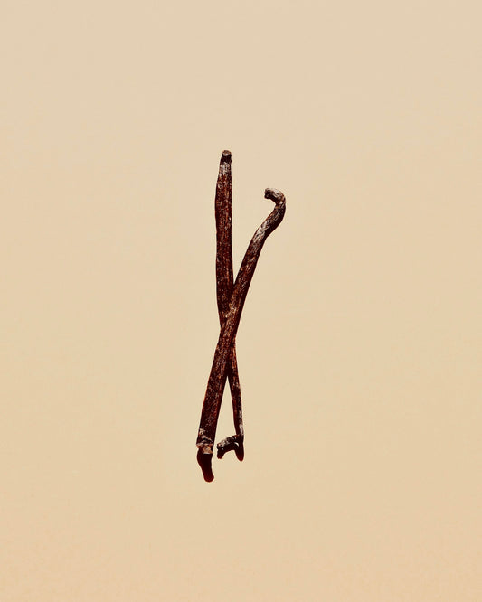 Vanilla bean pod
