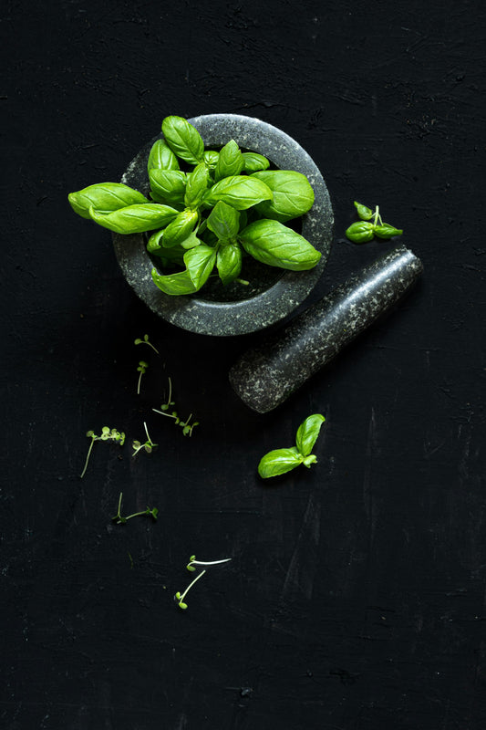 Bowl of fresh basil leaves