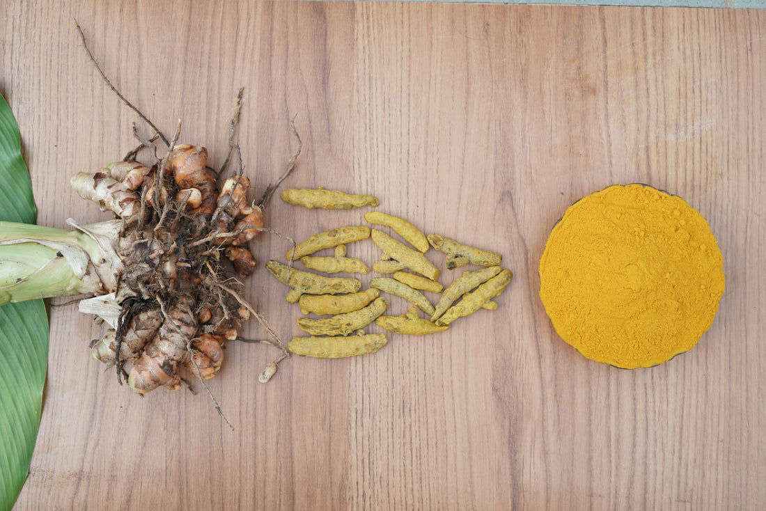 Turmeric root, slices and powder on wood