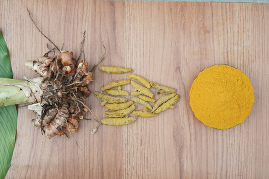 Turmeric root, slices and powder on wood